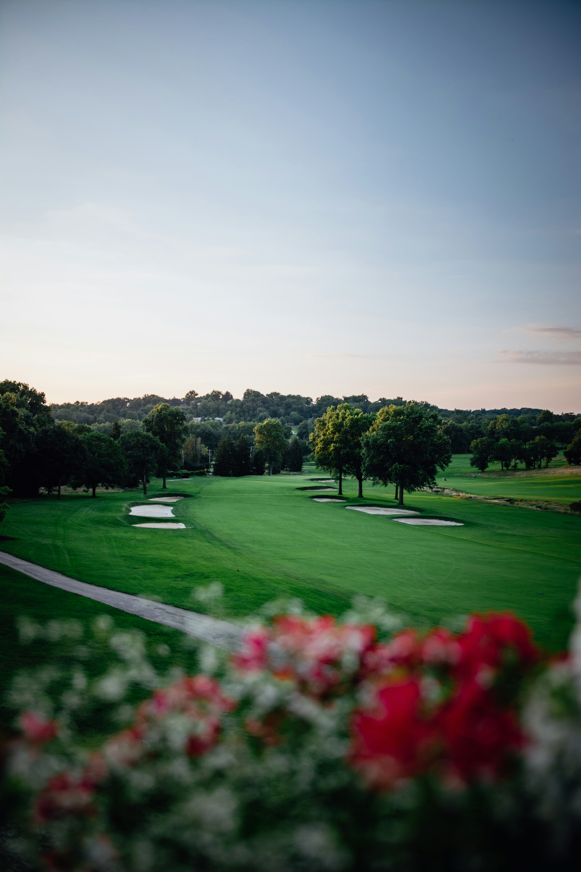 A sunlit golf fairway framed by trees and sand bunkers